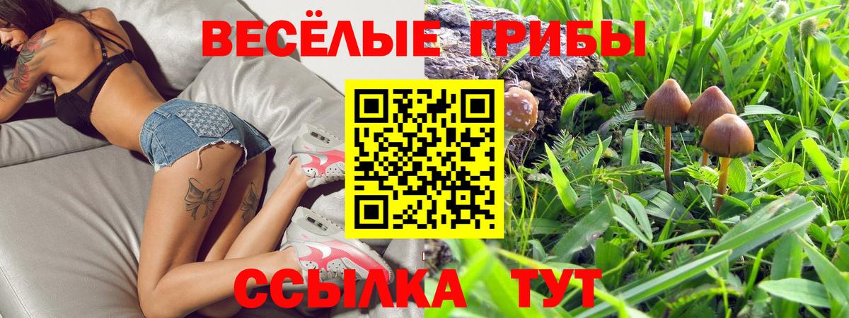 Псилоцибиновые грибы мухоморы  Вход с VPN  Нефтекумск 