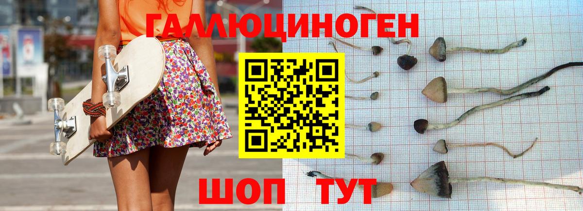 Галлюциногенные грибы GOLDEN TEACHER Нефтекумск