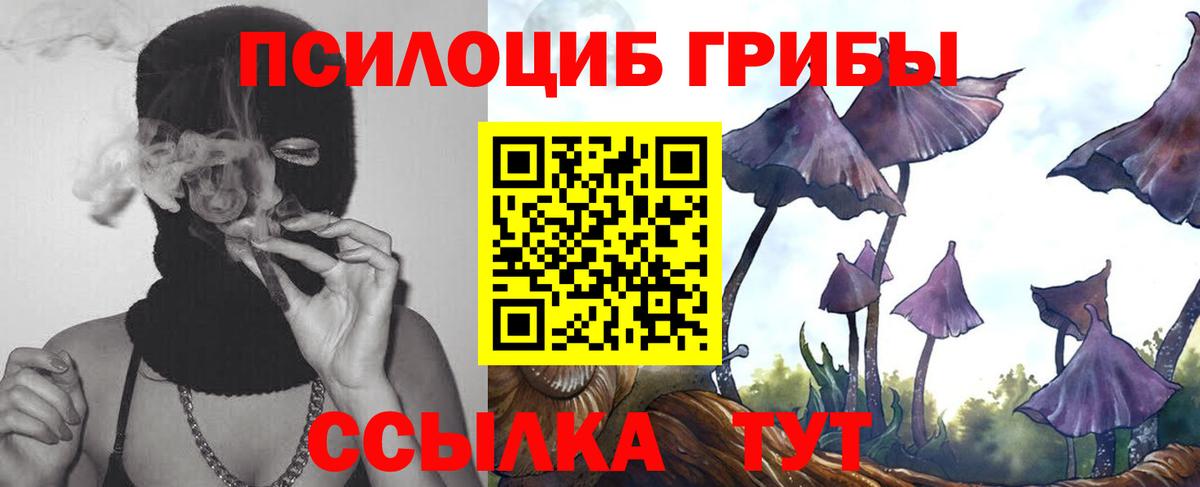 Нефтекумск  ГАШ  LSD-25  Cocaine  Альфа ПВП СК кристаллы  Вход с VPN  ТГК  ГАШ  Бошки Шишки  Меф кристаллы 